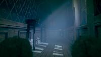 Out of Sight