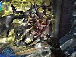 Aliens versus Predator 2