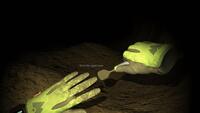 Cave Crave
