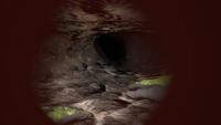 Cave Crave