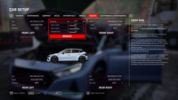 Assetto Corsa Rally