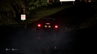 Assetto Corsa Rally