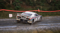 Assetto Corsa Rally