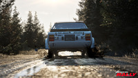 Assetto Corsa Rally