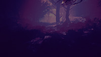 ReMORTED