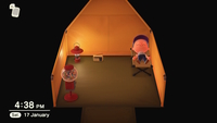 Animal Crossing: New Horizons