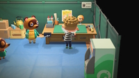 Animal Crossing: New Horizons