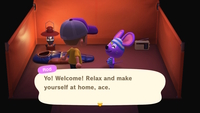 Animal Crossing: New Horizons