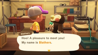 Animal Crossing: New Horizons