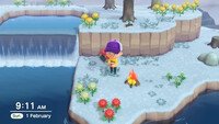 Animal Crossing: New Horizons
