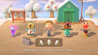 Animal Crossing: New Horizons