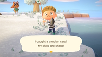 Animal Crossing: New Horizons