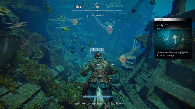 Assassin’s Creed: Black Flag Resynced