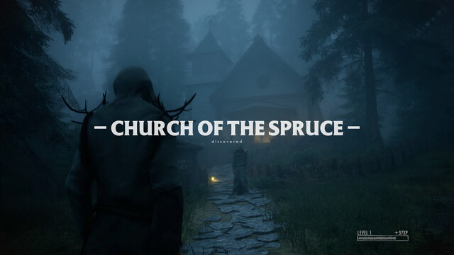 The Pines