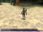 Final Fantasy XI