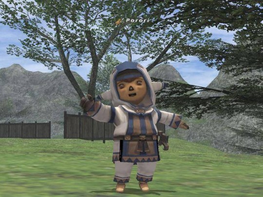 Final Fantasy XI képek