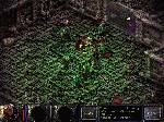 Kingdom Under Fire Gold