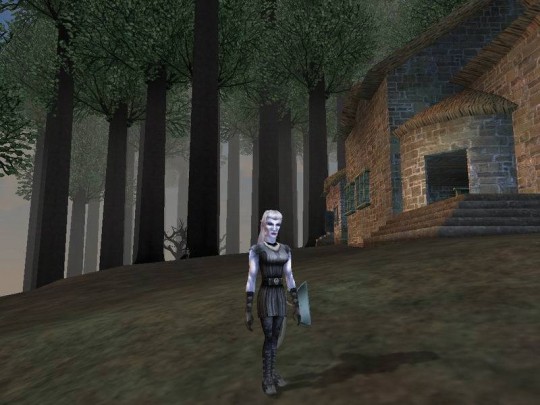 Dark Age of Camelot: Shrouded Isles