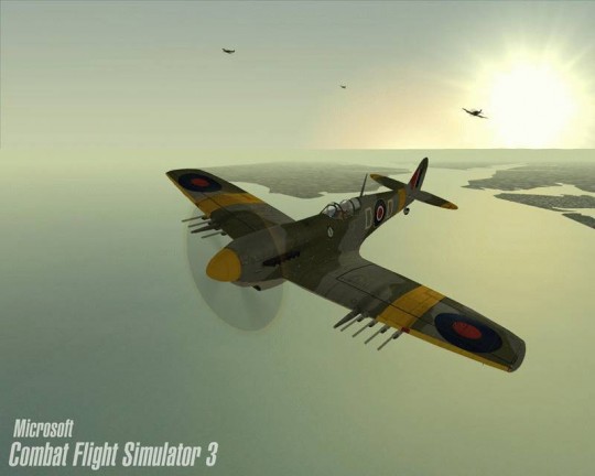 Combat Flight Simulator 3 képek
