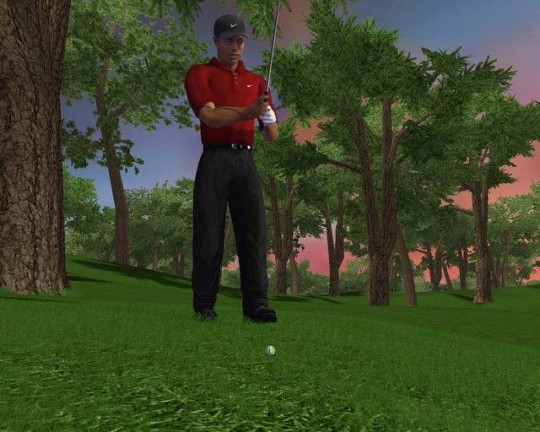 Tiger Woods PGA TOUR 2003