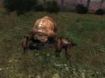 S.T.A.L.K.E.R.: Shadow of Chernobyl