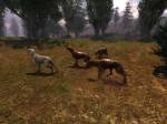 S.T.A.L.K.E.R.: Shadow of Chernobyl