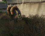 S.T.A.L.K.E.R.: Shadow of Chernobyl