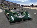 Total Immersion Racing