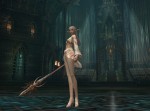 Lineage II: The Chaotic Chronicle