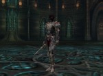 Lineage II: The Chaotic Chronicle