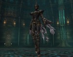 Lineage II: The Chaotic Chronicle