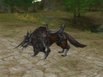 Lineage II: The Chaotic Chronicle