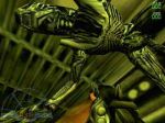 Aliens versus Predator