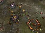 Lords of EverQuest