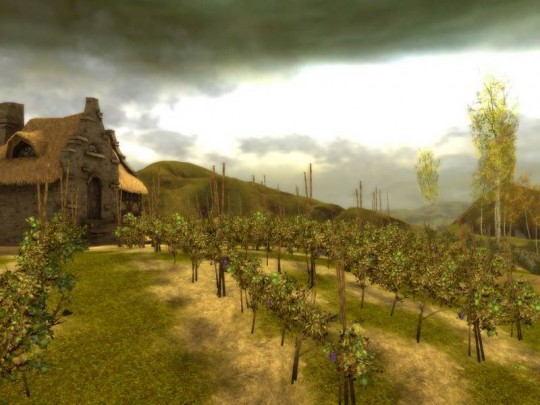 Guild Wars