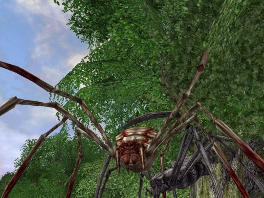Lord of the Rings Online: Shadows of Angmar