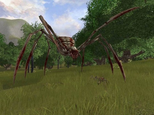 Lord of the Rings Online: Shadows of Angmar