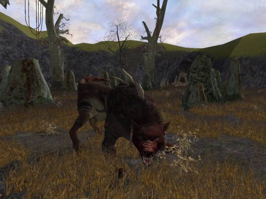Lord of the Rings Online: Shadows of Angmar