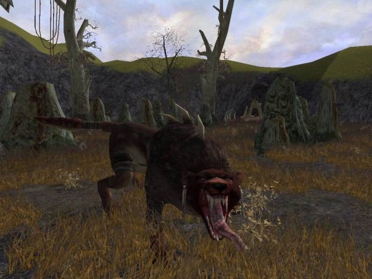 Lord of the Rings Online: Shadows of Angmar