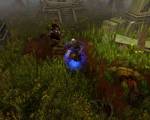 Exarch