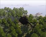 Joint Operations: Typhoon Rising