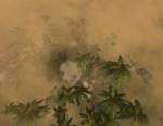 Afrika Korps vs Desert Rats