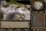 RuneScape 2