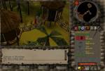 RuneScape 2