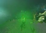 Creature Conflict: The Clan Wars