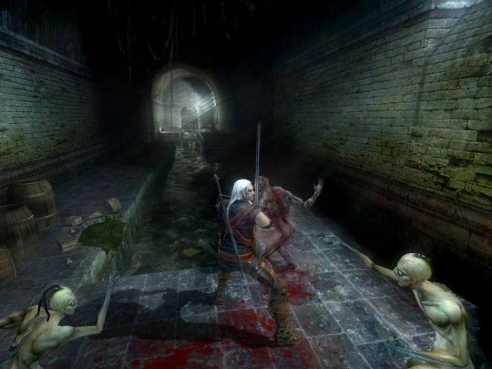 The Witcher