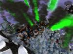 Massive Assault: Phantom Renaissance