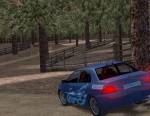 Euro Rally Champion