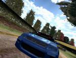 Euro Rally Champion