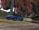 Euro Rally Champion